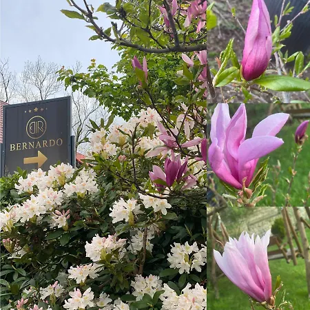 Bernardo Apartman Karpacz