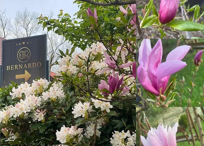 Bernardo Apartamento Karpacz