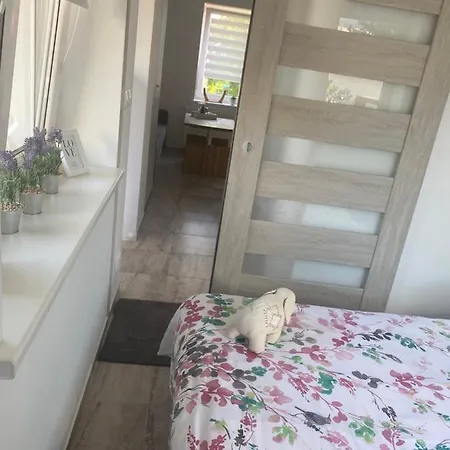 Bernardo Appartement