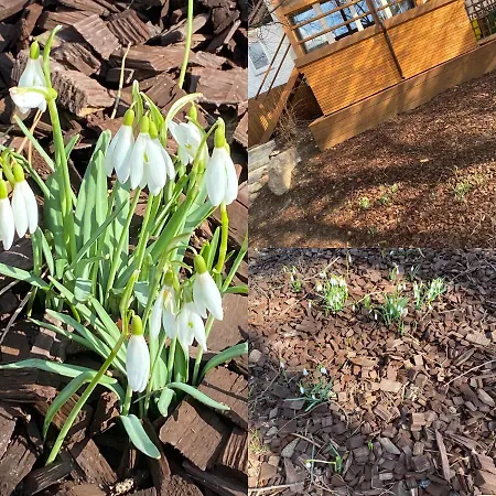 Appartement Bernardo