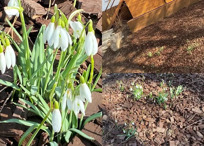 Апартаменты Bernardo